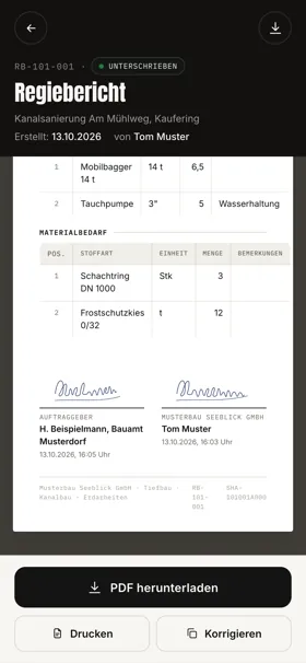 Bauzone am Handy: unterschriebener Regiebericht, Beispieldaten aus der Demo