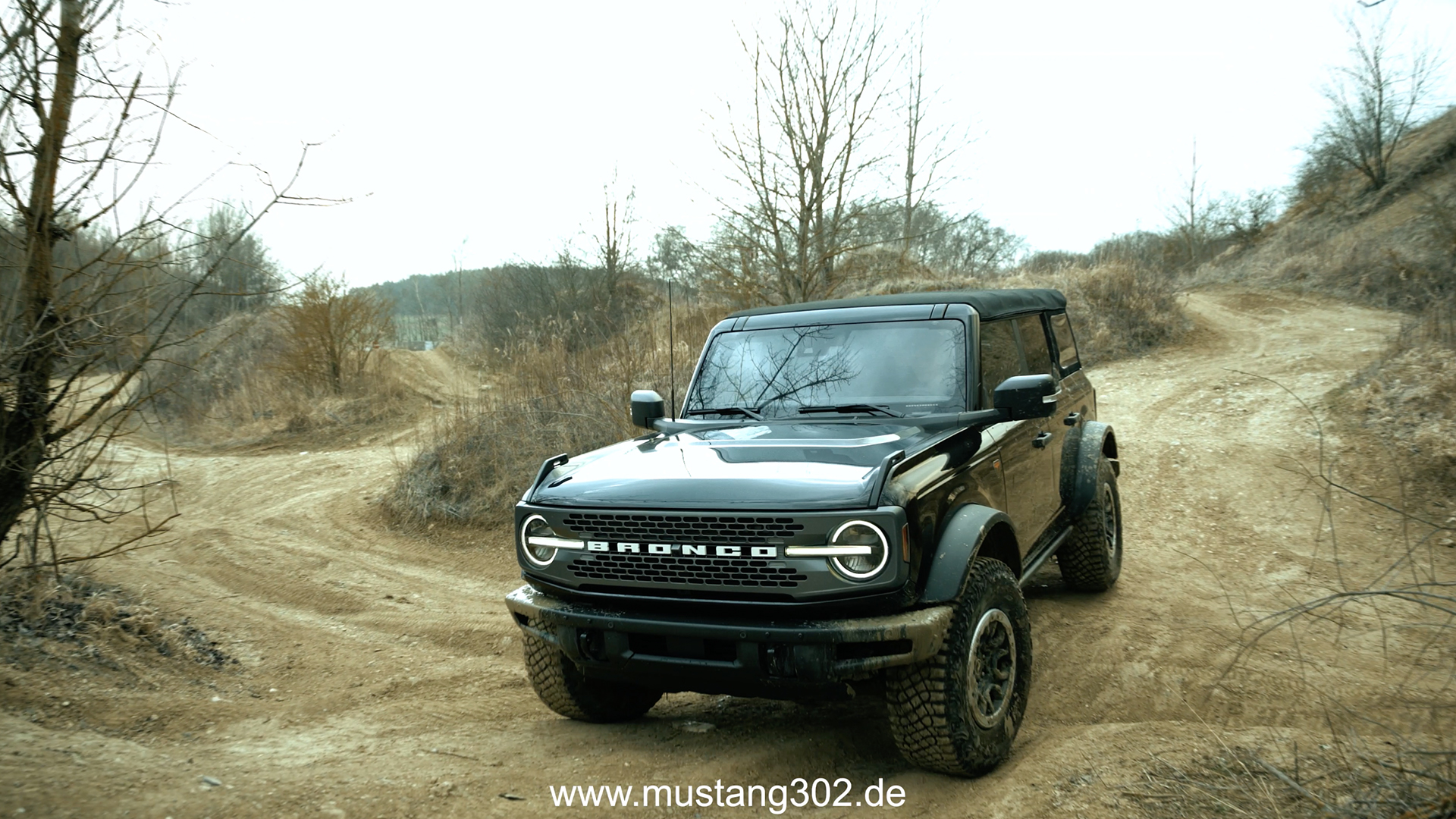 Mustang302-Bronco-Design-V9